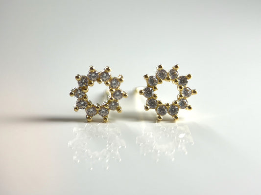 Round frame zirconia stud earrings